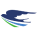 Qanotsharq